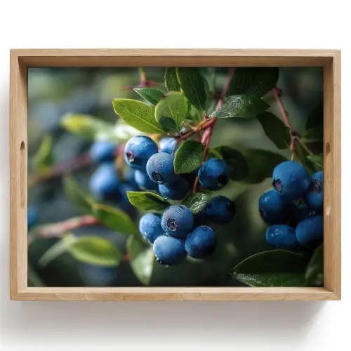 Blauwe bessen - Dauwdruppels - Natuurlijk licht Dienblad Rechthoek middel -z3d_shopping