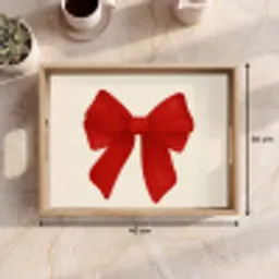 Strik - Symmetrisch - Rood - Lint Dienblad Rechthoek middel -USP_Formaat