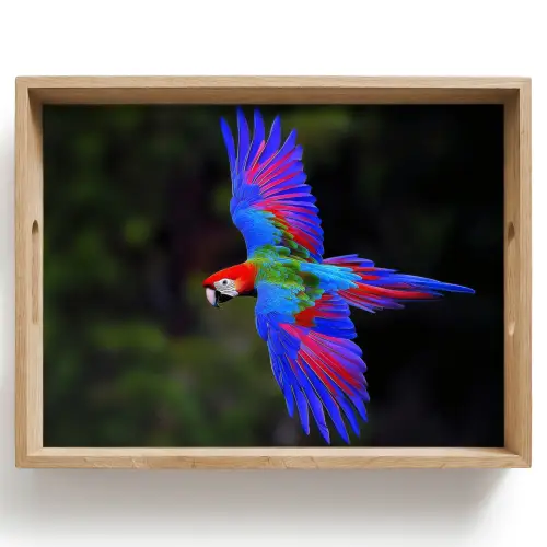 Felgekleurd - Papegaai - Bos - Vleugels Dienblad Rechthoek middel -z3d_shopping