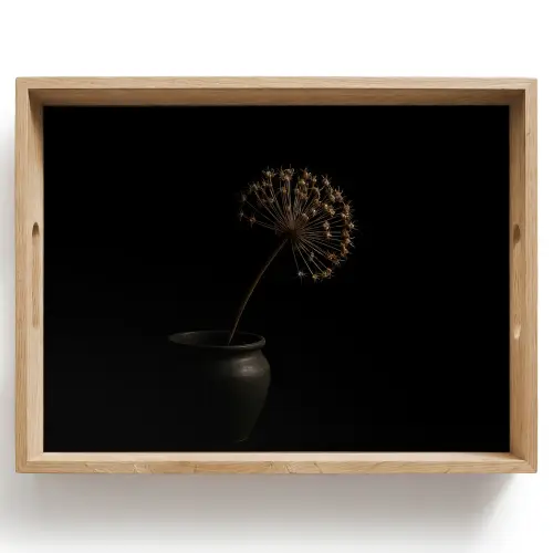 Bol - Gedroogd - Vaas - Zwart Dienblad Rechthoek middel -z3d_shopping