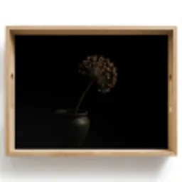 Bol - Gedroogd - Vaas - Zwart Dienblad Rechthoek middel -z3d_shopping