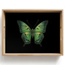 Vlinder - Groen - Diepte Dienblad Rechthoek middel -z3d_shopping