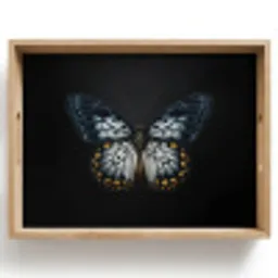 Vlinder - Monochroom - Balans Dienblad Rechthoek middel -z3d_shopping