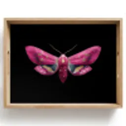 Vlinder - Roze - Nachtvlinder Dienblad Rechthoek middel -z3d_shopping