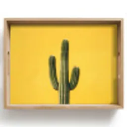 Cactus - Groen - Minimalistisch Dienblad Rechthoek middel -z3d_shopping