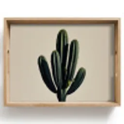 Cactus - Subtiel - Groen Dienblad Rechthoek middel -z3d_shopping