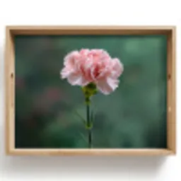 Anjer - Roze - Bloemblaadjes Dienblad Rechthoek middel -z3d_shopping