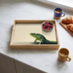 Kameleon - Groen - Minimalistisch Dienblad Rechthoek middel -sfeer2