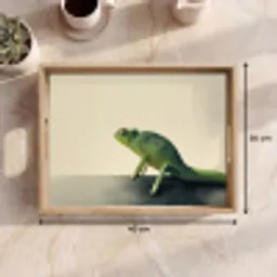 Kameleon - Groen - Minimalistisch Dienblad Rechthoek middel -USP_Formaat