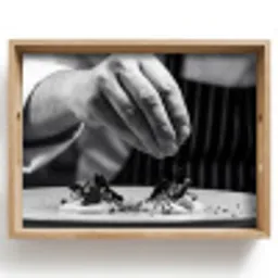 Chef - Garnering - Gerecht Dienblad Rechthoek middel -z3d_shopping