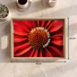 Close up - Bloem - Quote - Rood Dienblad Rechthoek middel -USP_Formaat