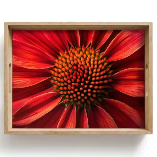 Close up - Bloem- Rood Dienblad Rechthoek middel -z3d_shopping
