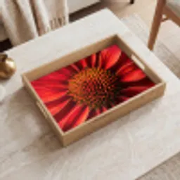 Close up - Bloem- Rood Dienblad Rechthoek middel -sfeer1