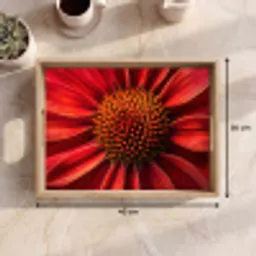 Close up - Bloem- Rood Dienblad Rechthoek middel -USP_Formaat