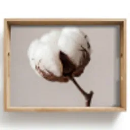 Katoenbol - Minimalistisch - Wit Dienblad Rechthoek middel -z3d_shopping
