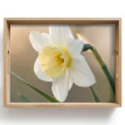 Narcis - Bloem - Minimalistisch Dienblad Rechthoek middel -z3d_shopping
