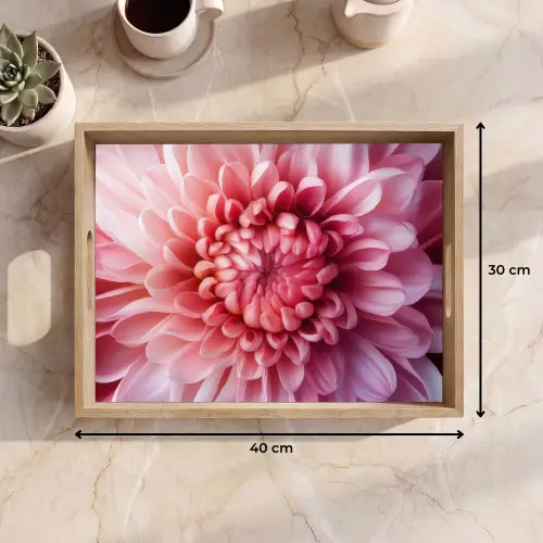 Dahlia - Bloem - Close up - Roze Dienblad Rechthoek middel -USP_Formaat