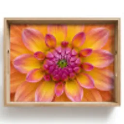 Dahlia - Bloem - Oranje Dienblad Rechthoek middel -z3d_shopping