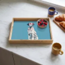 Dalmatiër - Zonnebril - Blauw Dienblad Rechthoek middel -sfeer2