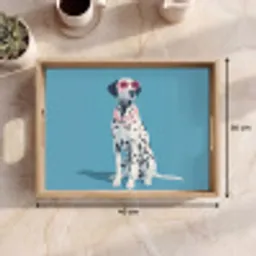 Dalmatiër - Zonnebril - Blauw Dienblad Rechthoek middel -USP_Formaat