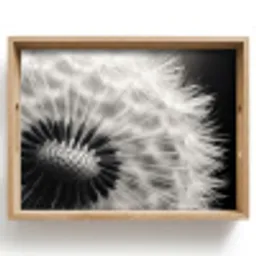 Paardenbloem - Zwart - Wit Dienblad Rechthoek middel -z3d_shopping