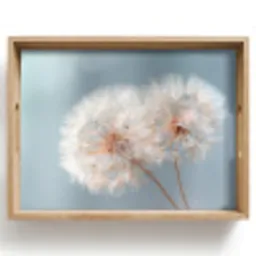 Paardenbloemen - Pluisjes - Wit Dienblad Rechthoek middel -z3d_shopping
