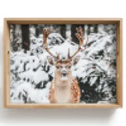 Hert - Sneeuw - Winter - Bos - Dieren Dienblad Rechthoek middel -z3d_shopping