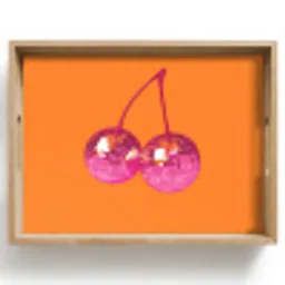 Discoballen - Kers - Spiegels - Roze Dienblad Rechthoek middel -z3d_shopping