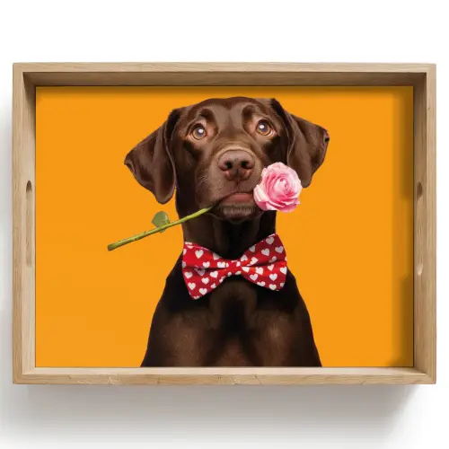 Hond - Oranje - Roos - Valentijn Dienblad Rechthoek middel -z3d_shopping
