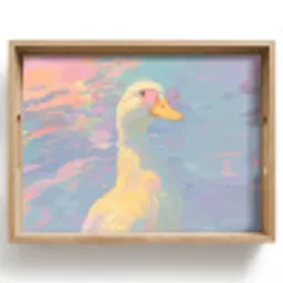 Eend - Zonnebril - Water Dienblad Rechthoek middel -z3d_shopping