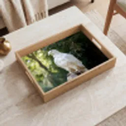 Arend - Hout - Wit - Planten Dienblad Rechthoek middel -sfeer1