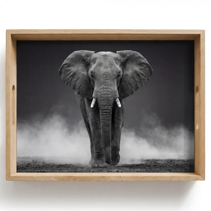 Olifant - Zwart - Wit - Rook Dienblad Rechthoek middel -z3d_shopping