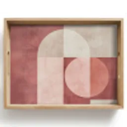 Figuren - Abstract - Roze Dienblad Rechthoek middel -z3d_shopping