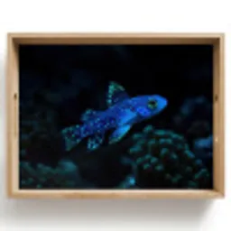 Vis - Stippen - Koraal - Blauw Dienblad Rechthoek middel -z3d_shopping