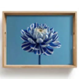 Bloem - Blauw - Bloemblaadjes - Streepjes Dienblad Rechthoek middel -z3d_shopping