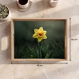 Bloem - Narcis - Gras - Geel Dienblad Rechthoek middel -USP_Formaat