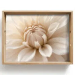 Bloem - Dahlia - Wit Dienblad Rechthoek middel -z3d_shopping
