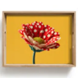 Bloem - Rood - Stippen Dienblad Rechthoek middel -z3d_shopping