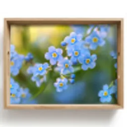 Bloemetjes - Blauw - Vergeet mij nietjes Dienblad Rechthoek middel -z3d_shopping