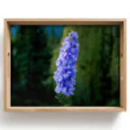 Bloemen - Blauw - Dennenboom Dienblad Rechthoek middel -z3d_shopping
