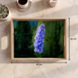 Bloemen - Blauw - Dennenboom Dienblad Rechthoek middel -USP_Formaat