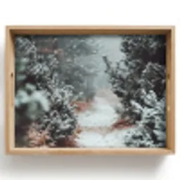 Bos - Winter - Bomen - Natuur - Pad - Sneeuw Dienblad Rechthoek middel -z3d_shopping