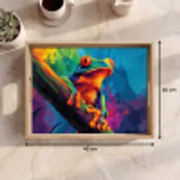 Kikker - Felgekleurd - Tak - Regenboog Dienblad Rechthoek middel -USP_Formaat