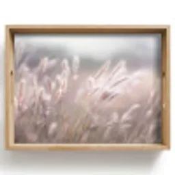 Graspluimen - Wind - Beige - Mistig Dienblad Rechthoek middel -z3d_shopping