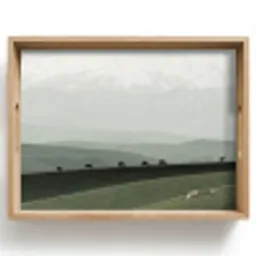 Grijs - Berg - Paarden Dienblad Rechthoek middel -z3d_shopping