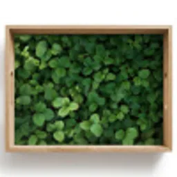 Groen - Bladeren - Kartel - Zonlicht Dienblad Rechthoek middel -z3d_shopping