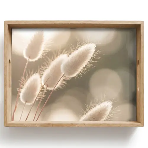Hazestaartgras - Wit - Zonlicht Dienblad Rechthoek middel -z3d_shopping