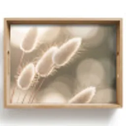 Hazestaartgras - Wit - Zonlicht Dienblad Rechthoek middel -z3d_shopping