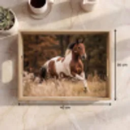Paard - Bruin - Gras Dienblad Rechthoek middel -USP_Formaat
