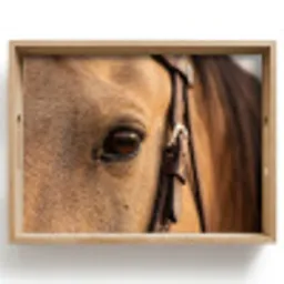 Paard - Oog - Bruin Dienblad Rechthoek middel -z3d_shopping